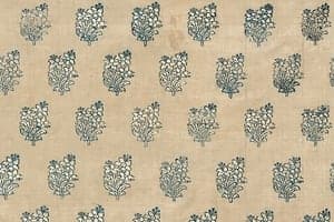 Brocade, India, Surat